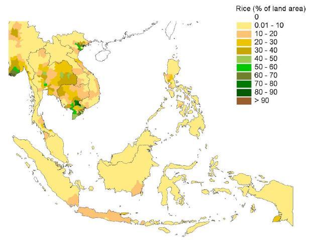 Activity III: Spatial distribution of paddy rice cultivation area in