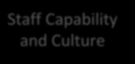 Capability and Culture