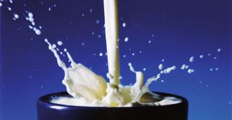 Dairy Products Uses Ref.