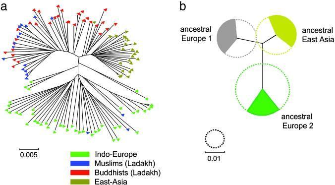 Research on bacteria help following human migration A multilocus haplotype tree and quantitative sources of
