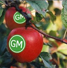 (Policy Principle) Labeling of genetically modified products shall be made mandatory.