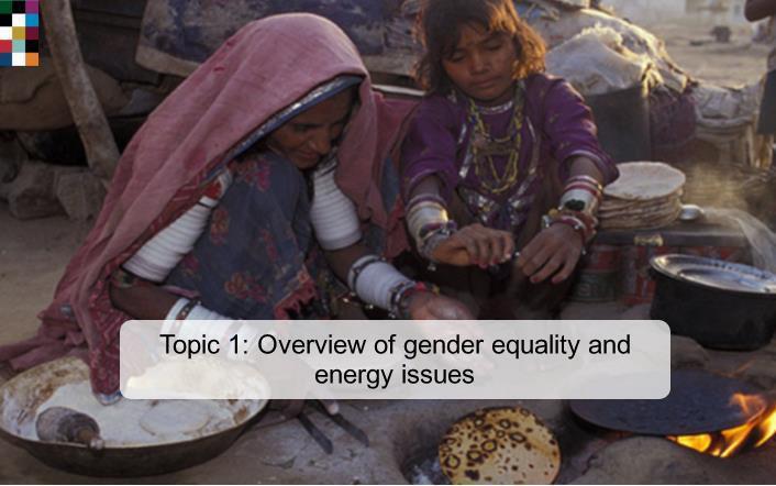 Presentation Script Overview Welcome to the e-module on Gender and Energy. This is the Third Module of the e-course on Gender Equality and Development.