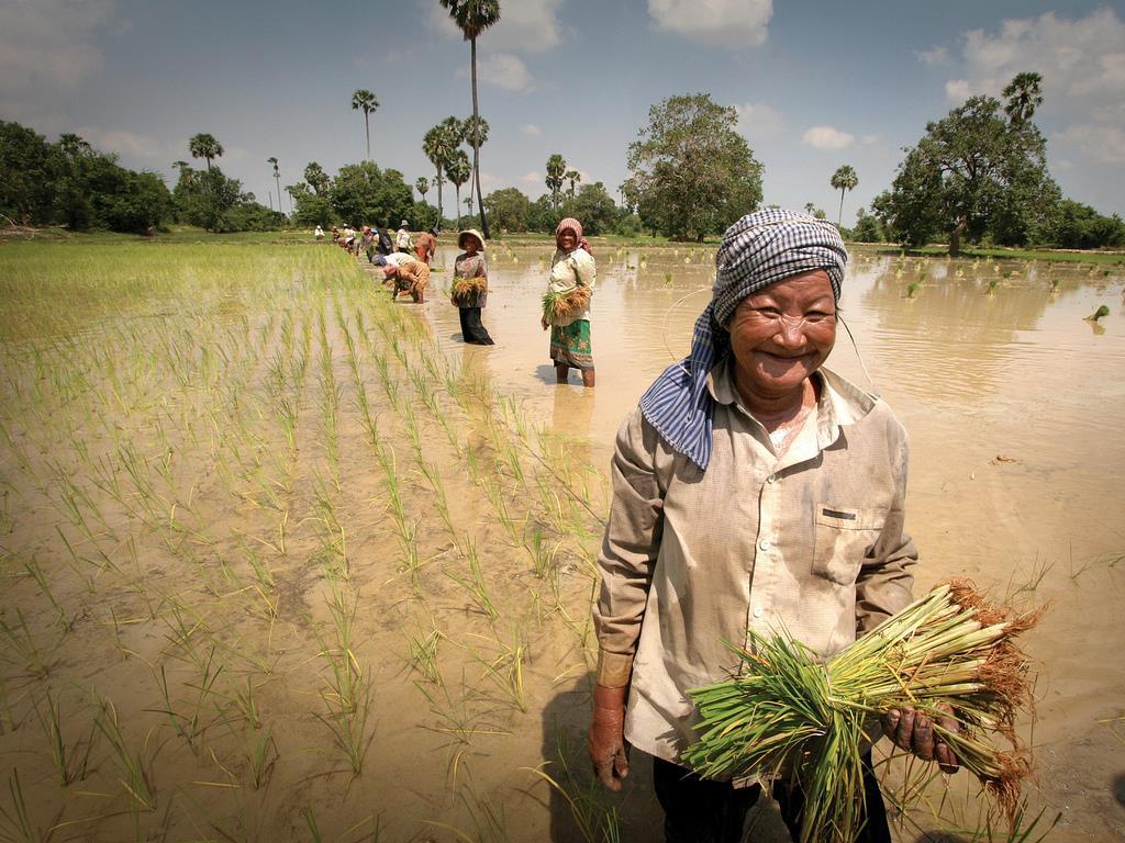 Goal: 1 million farmers adopt climate-smart sustainable best