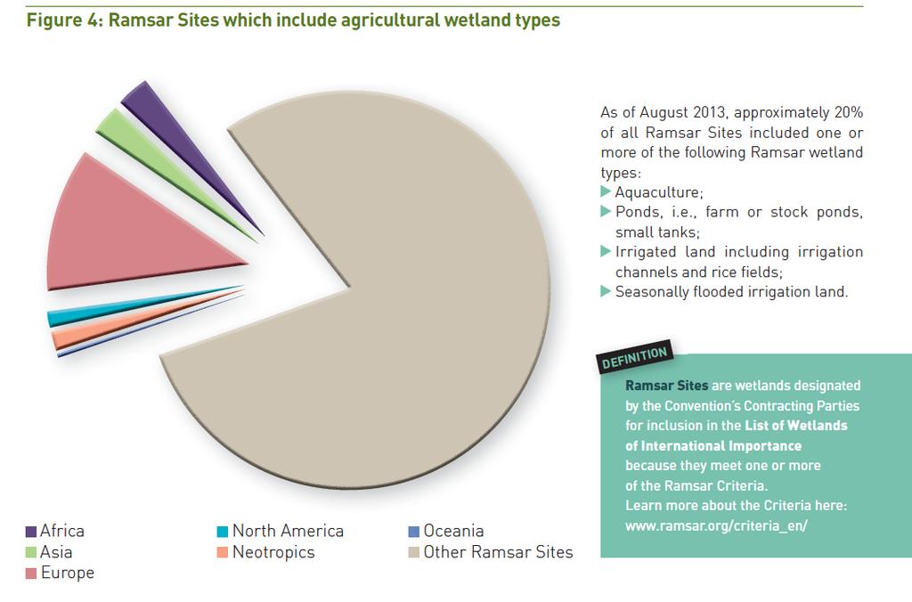 Agricultural wetland types