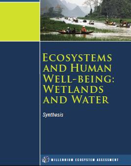 1. Millennium Ecosystem Assessment The Millennium Ecosystem Assessment (2005) highlighted the key role played