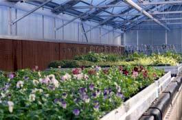Direct Use Costs! Geothermal Greenhouse! Capital costs vary with location! Total greenhouse costs (includes greenhouse and operating equipment) are $12.32-15.