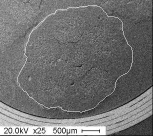 (a) A whole cross section (Lower magnification) (b) A minute observation (Higher magnification) Figure 4: Typical SEM image of cross sectional view of the LJF/PLA pellet. 3.