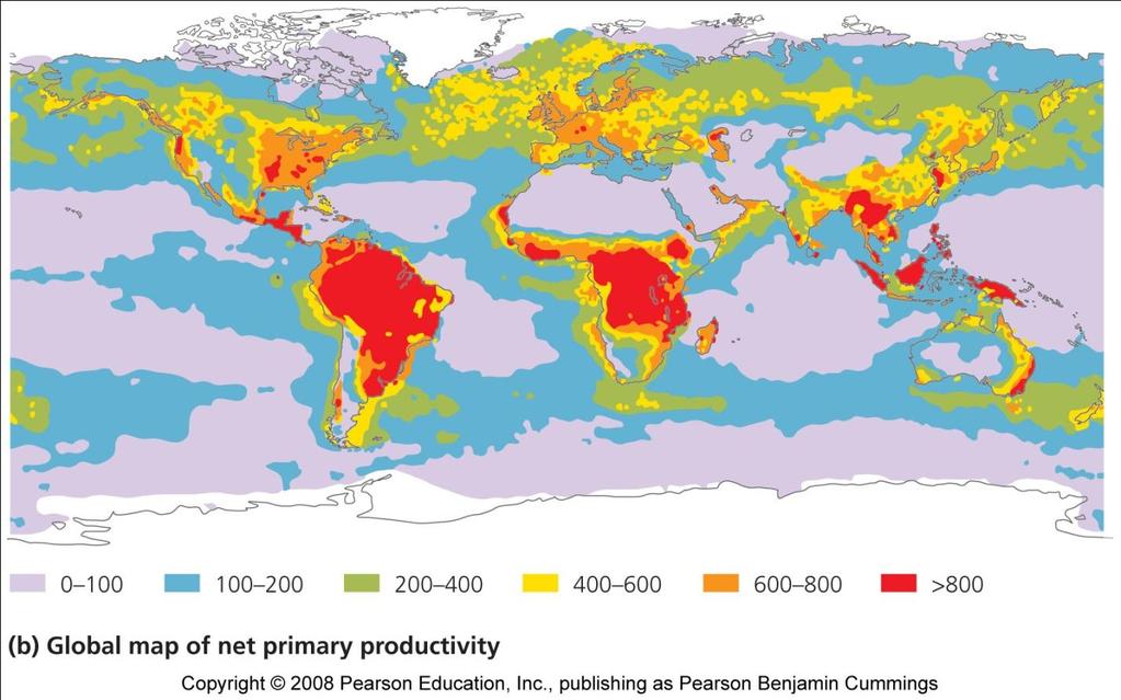 NPP variation causes global geographic patterns NPP increases with