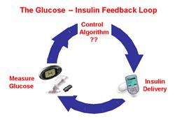 Glucose concentration Control algorithms