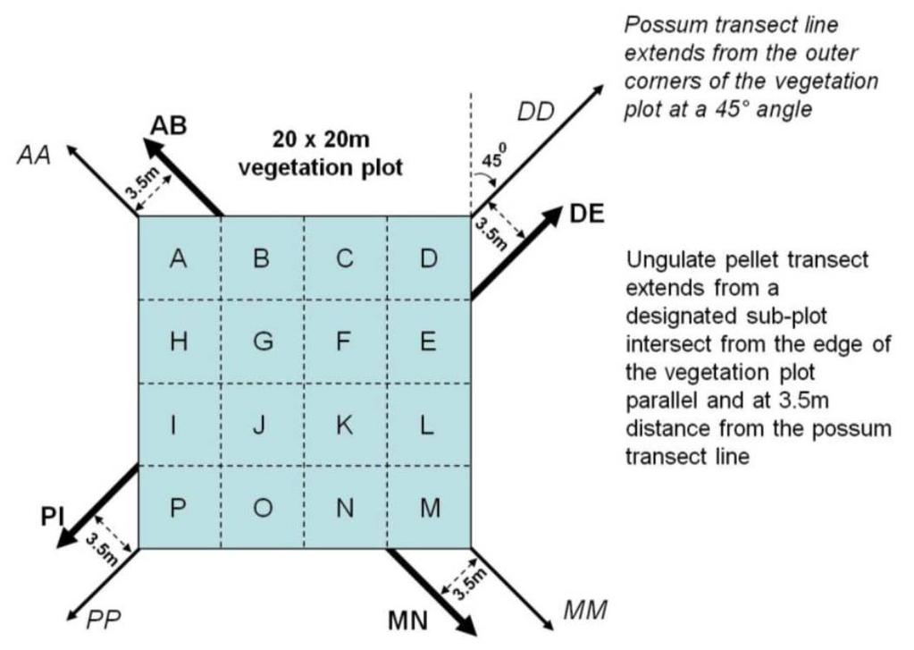 Figure A2: Location of possum transect lines in relation to