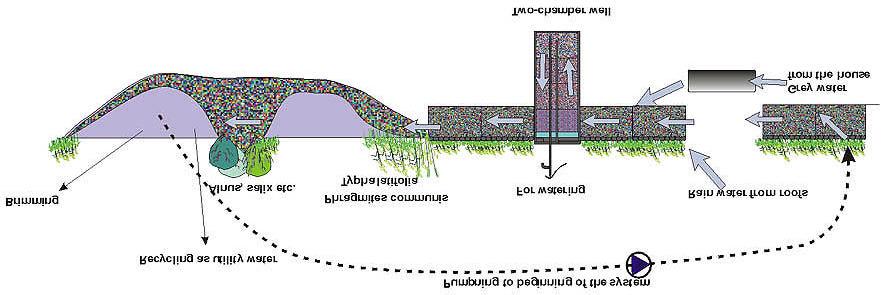 Figure 2 A smaller wetpark, adapted for installation in an ordinary garden, The plants along the paths absorbs nutrients as well as the plants in the shore-zones of the pond.