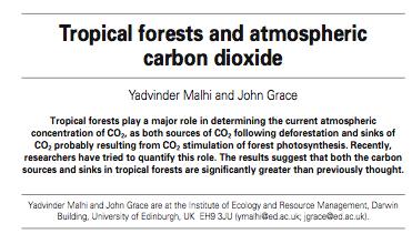 Where does the rest go? CO 2 sink to forests is poorly quantified!