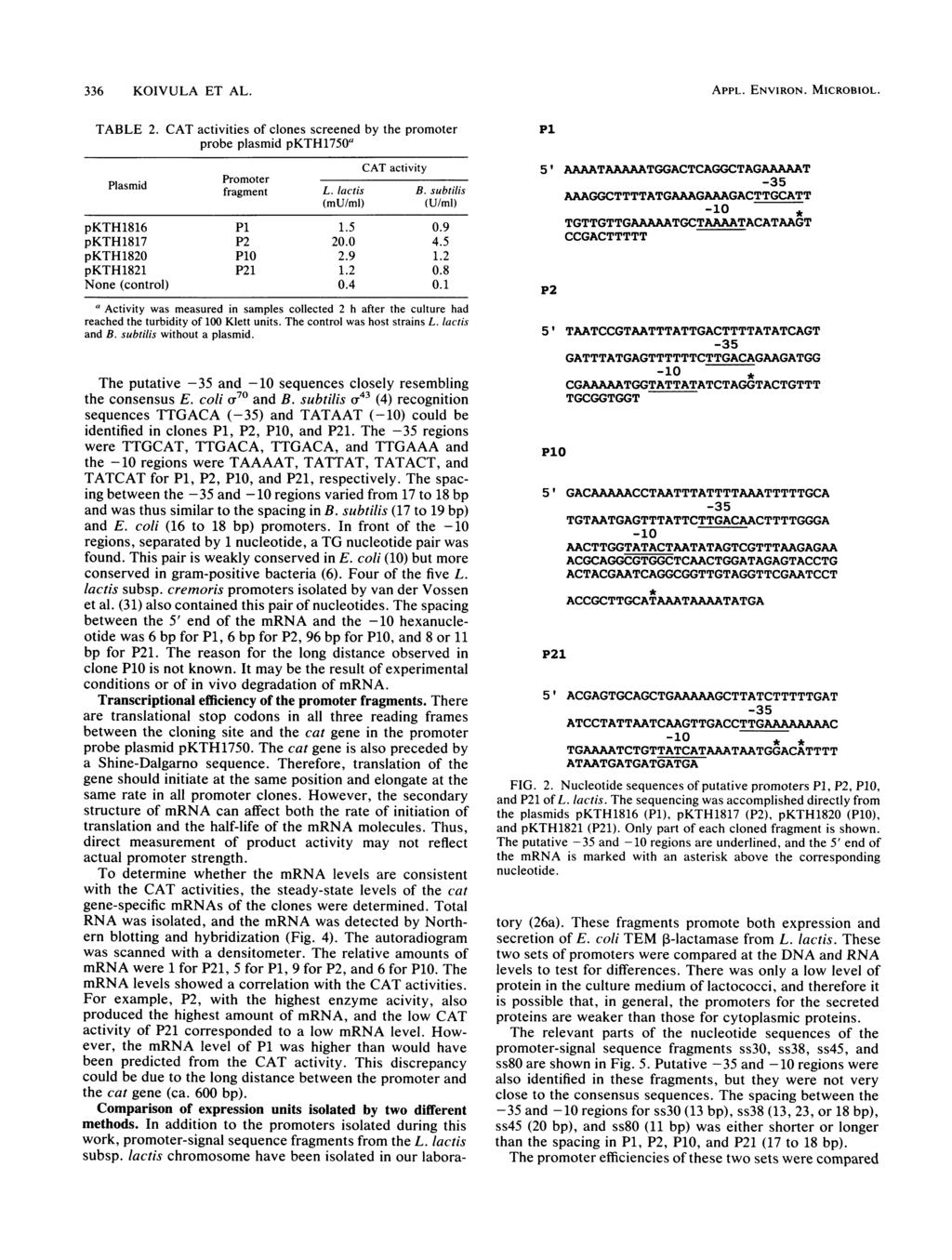 336 KOIVULA ET AL. TABLE 2. Plasmid CAT activities of clones screened by the promoter probe plasmid pkth1750a CAT activity Promoter fragment L. lactis B. subtilis (mu/ml) (U/mi) pkth1816 P1 1.5 0.