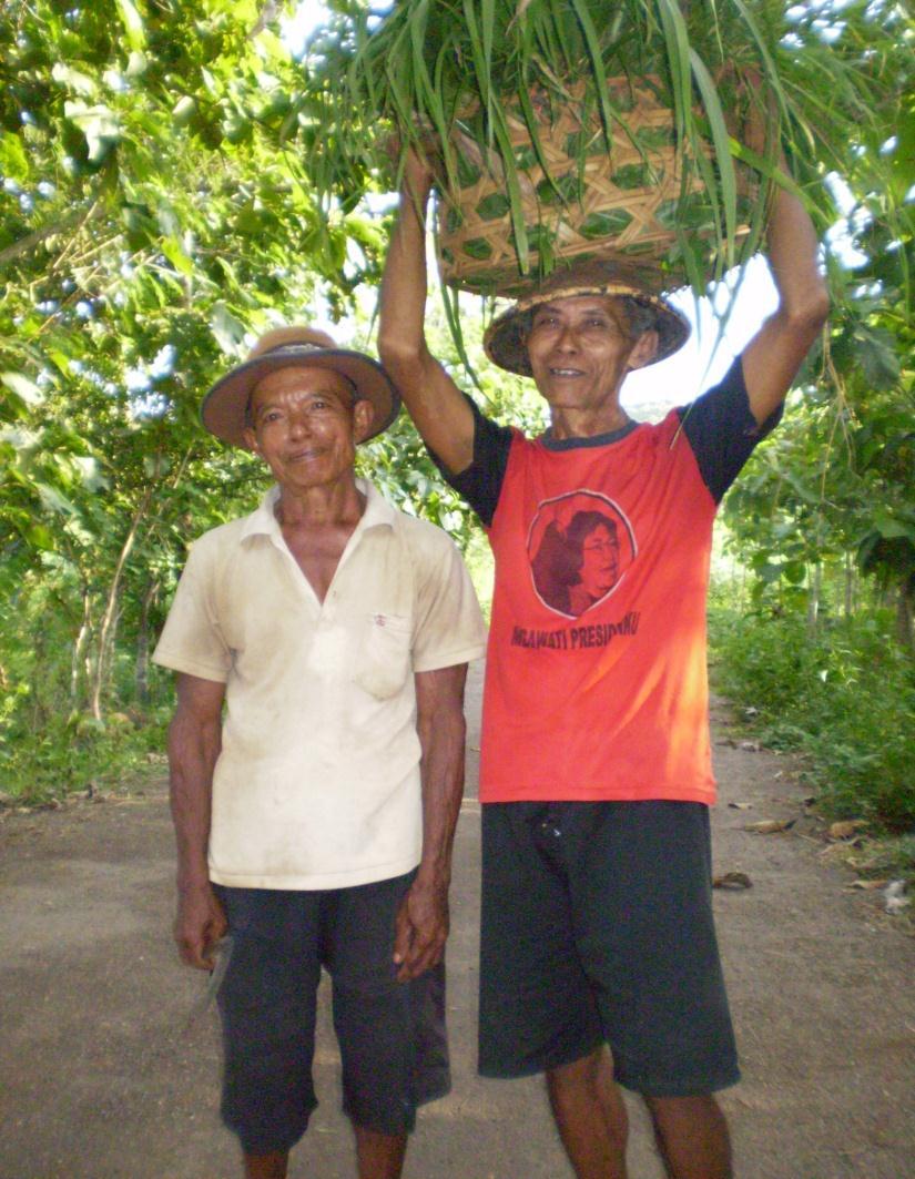 Socioeconomics & Culture Indonesia Why do farmers plant teak?
