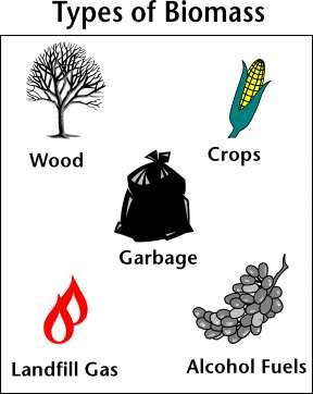 1 0 Sources of Biomass energy Agro-residues Waste biomass Energy crops