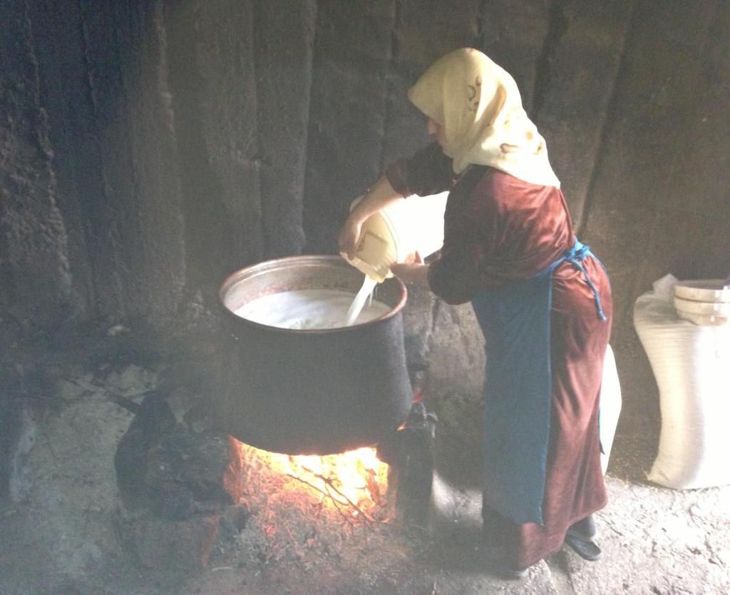 Support to Women-Headed Households Making Traditional Home-Processed Dairy