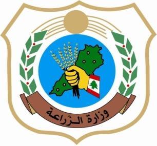الجمهورية اللبنانية وزارة