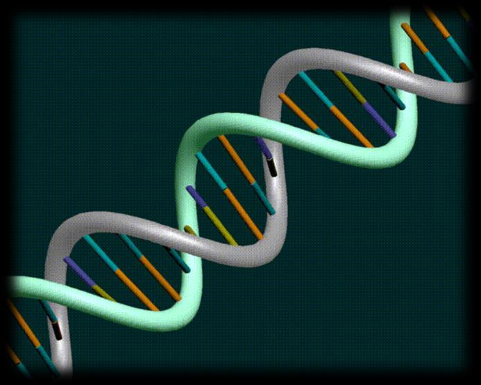 1.) Recombinant DNA refers to the DNA from the two DIFFERENT organisms.