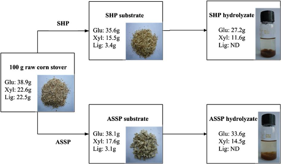 198 Q. Li et al. / Bioresource Technology 125 (2012) 193 199 Fig. 6. Comparative effects of SHP and ASSP on enzymatic saccharification.