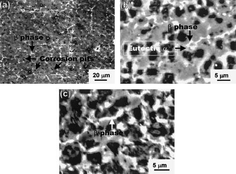 871 Fig. 8. Scanning electron micrographs (backscattered mode) for die-cast showing e ect of chloride ion concentration on corrosion morphology: (a) 0% NaCl, (b) 3.5% NaCl and (c) 10% NaCl. reduction.
