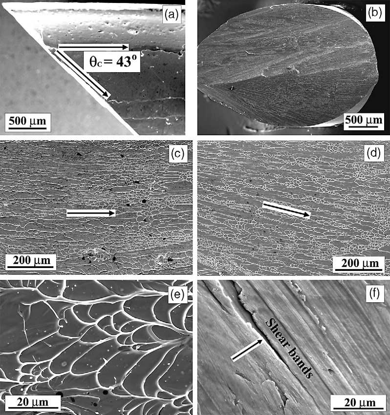 1170 Z.F. Zhang et al. / Acta Materialia 51 (2003) 1167 1179 Fig. 3. SEM micrographs revealing the compressive fracture feature of Zr 59 Cu 20 Al 10 Ni 8 Ti 3 metallic glass.