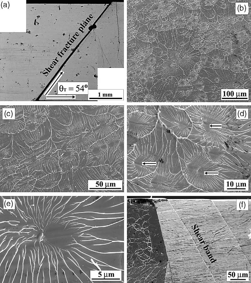 1172 Z.F. Zhang et al. / Acta Materialia 51 (2003) 1167 1179 Fig. 4. SEM micrographs revealing the tensile fracture feature of Zr 59 Cu 20 Al 10 Ni 8 Ti 3 metallic glass.