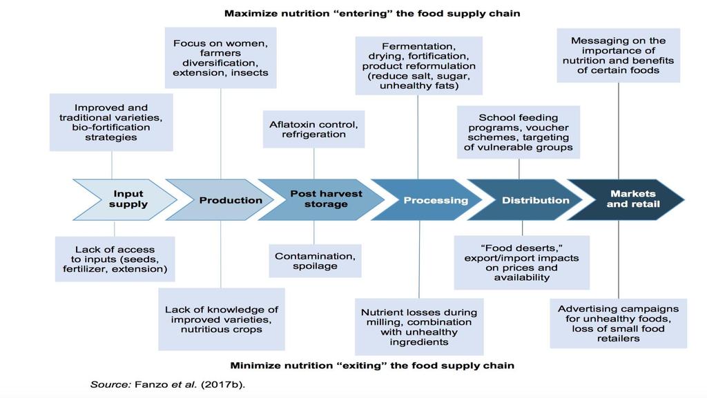 As food chains lengthen, the opportunities for nutrition to move in