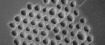 Microstructure fiber In microstructure fiber, air holes act as the