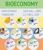 About this presentation: Introduction What is the bioeconomy?