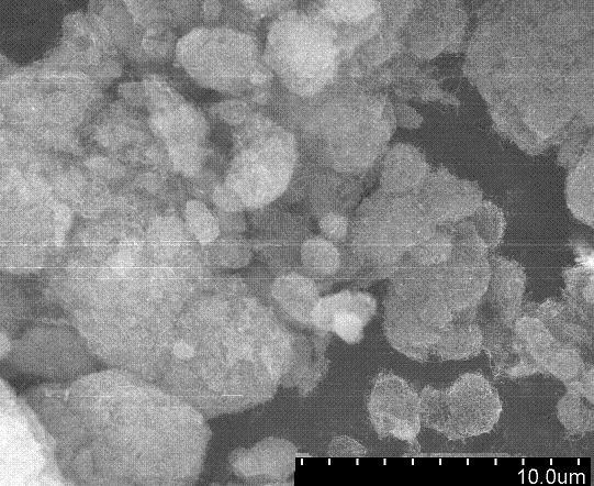 a Fig 1 SEM images of the carbon nanotubes Fig. 2 shows the SEM of the fractured cross-section of CNT/BMI nanocomposites prepared by different mixing methods.