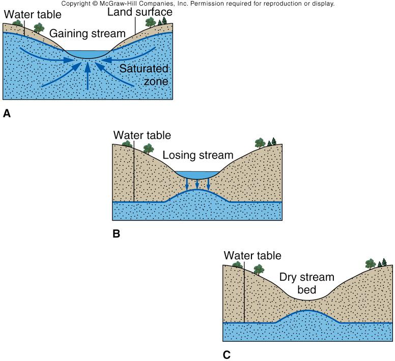 streams: gaining vs. losing! gaining stream! gets water from saturated zone! and top of stream is! water table!