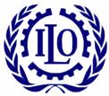 PARTICIPATING ORGANIZATIONS International Labour Organization (ILO) United Nations