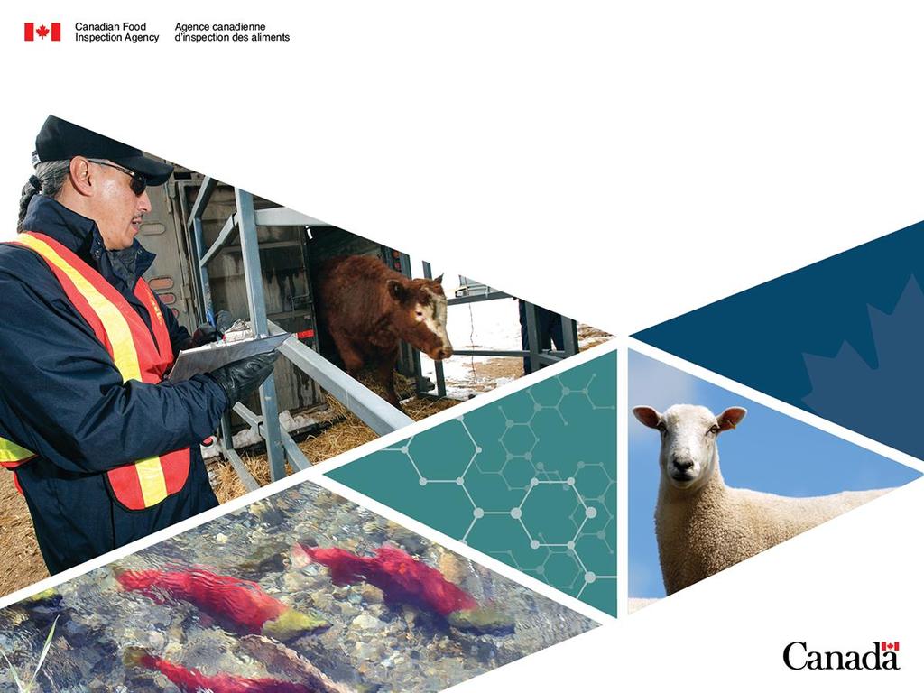Update by the CFIA Animal Nutrition Association of Canada Annual General Meeting May 29, 2017 Dr. Michelle Illing, Animal Feed Division Mr.
