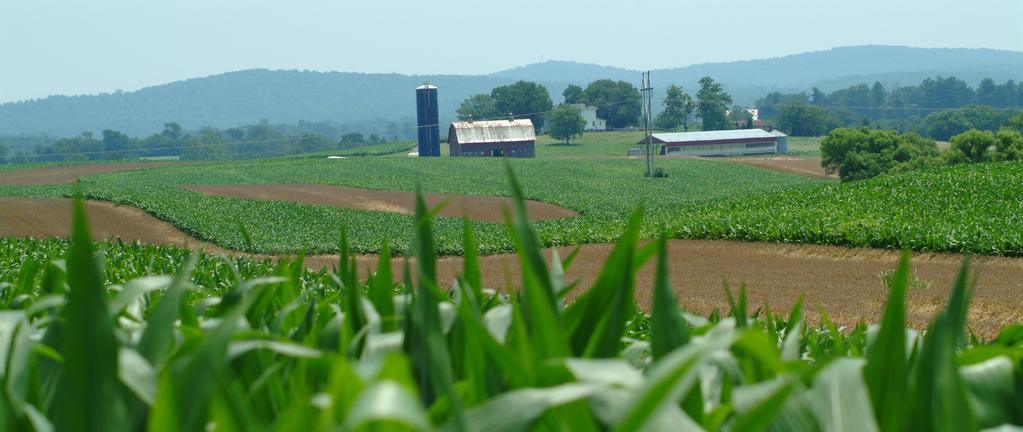 Prime Agriculture Model Agriculture contributes 311,000 jobs and $52 billion annually to Virginia s economy; however, over five million acres of farmland were lost in the state between 1960 and 2012