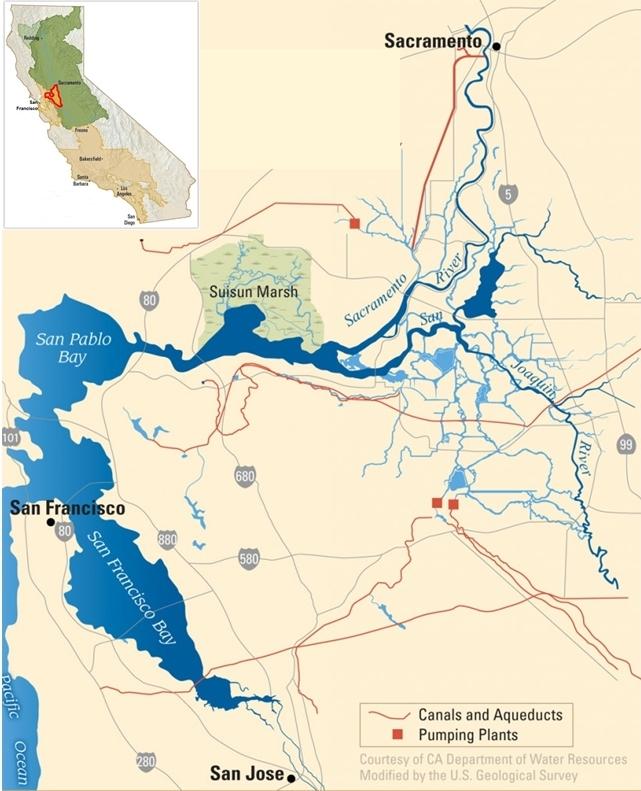 Sacramento -San Joaquin Delta Sacramento & San Joaquin Rivers form the Sacramento- San Joaquin Delta ( Delta ) > Wetland consisting of marshes, levees, islands, and waterways > Home to more than 500