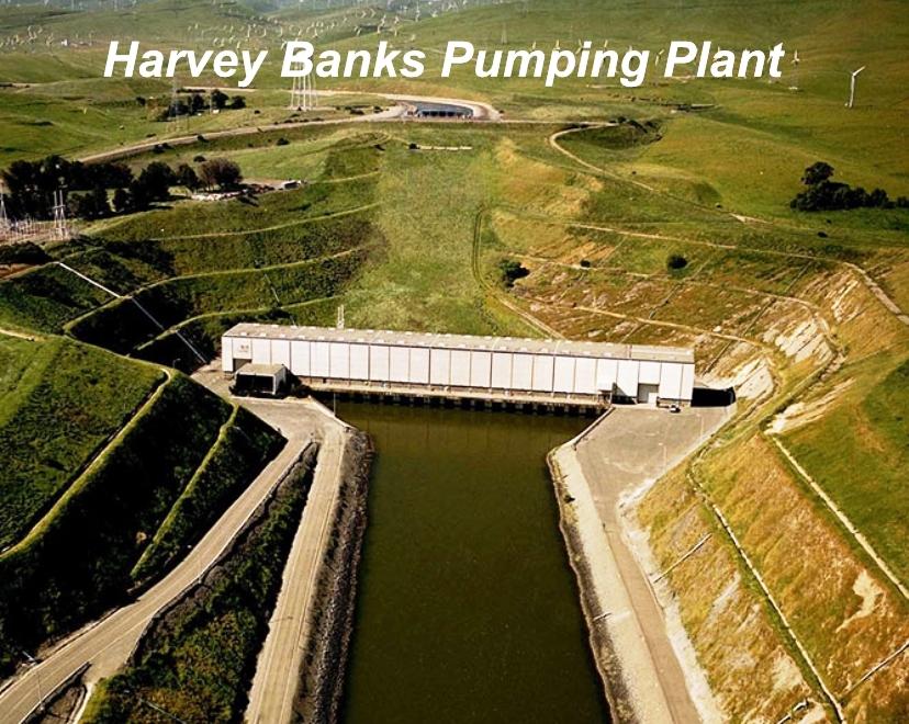 Delta Major Hub of Water Exports South Delta diversion at the Clifton Court Forebay > Two large pumping plants > Harvey Banks for the
