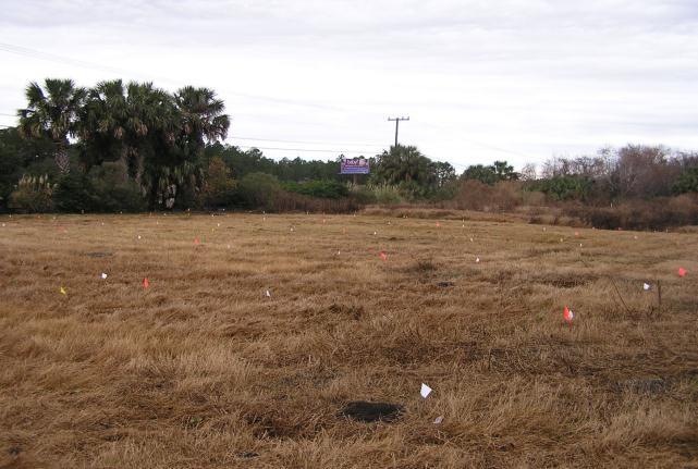 7 Florida Case Study: Decision Unit (DU) Identification Identify DU in the field Use typical environmental site