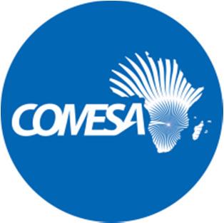 Overview The Mycotoxin/aflatoxin challenge in COMESA Challenges in regional and international trade Role of COMESA (coordination, setting priorities) The MTSP and the SPS Logical Framework The SPS