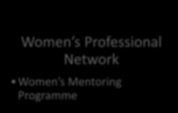 Newcomers Women s Professional Network Women s Mentoring Programme Diversity