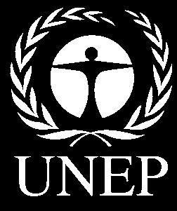 The UNEP project