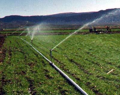 What methods of water application are used in irrigation? G. Hand-move irrigation is the least expensive sprinkler system to install.
