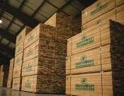 WE MANUFACTURE LUMBER TO IMPROVE YOUR PROFITS Northwest Hardwoods is a leading brand