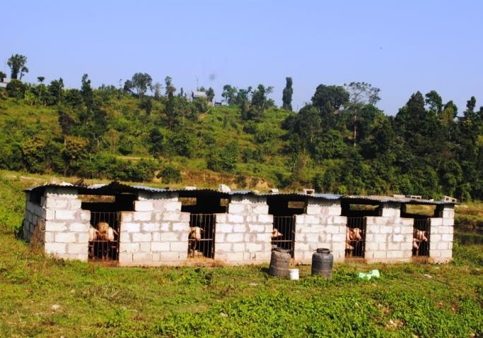 Handikhola Makwanpur