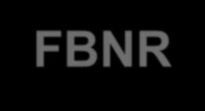 SMR for Long-term Deployment FBNR Full name: Fixed Bed Nuclear Reactor Designer: Federal University of Rio Grande do Sul, Brazil Reactor