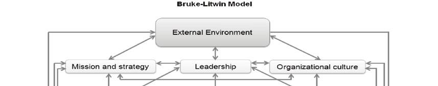 Picture 1: Bruke-Litwin model representation Source: adapted from Burke-Litwin Model (1992)