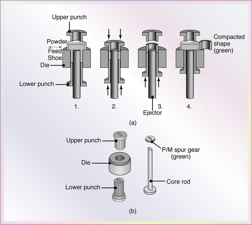 Sequence in Compaction Metal Powders (a) Compaction of metal powder to form a bushing.