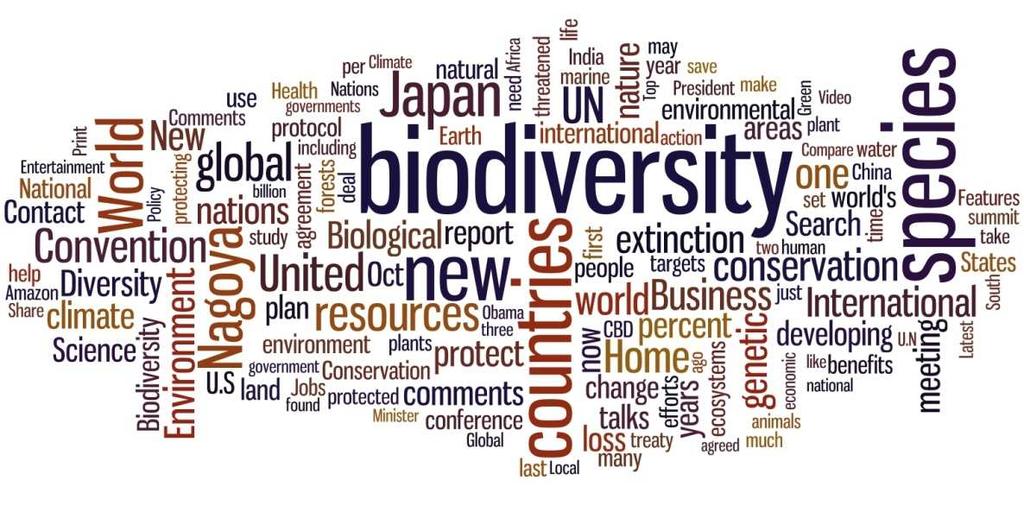 Strategic goal C: To improve the status of biodiversity by safeguarding ecosystems, species