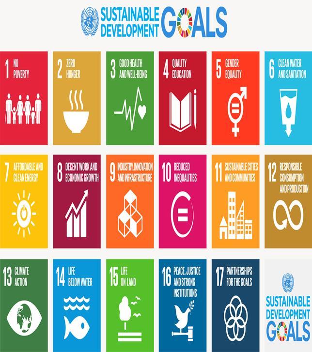17 SDGs Approved by