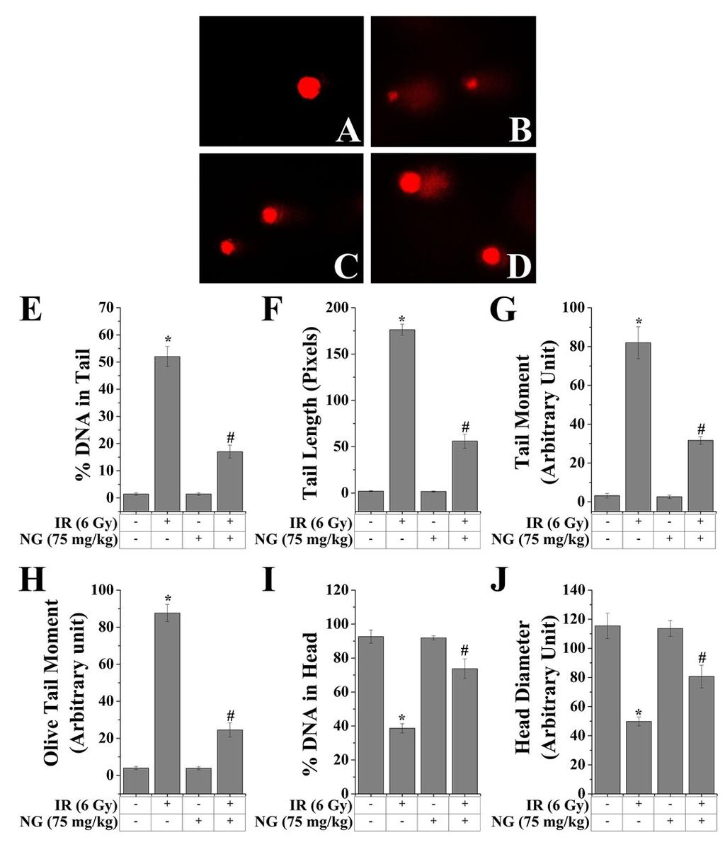 ESI2. NG protected IR-induced nuclear DNA damage: To investigate the effect of NG on IR-induced DNA damage, comet assay was performed (Fig. S2A, S2B, S2C and S2D).