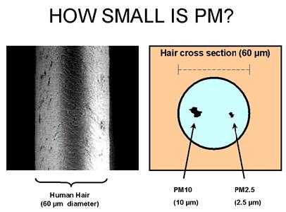 Particulate Matter PM10 is made up of particles less than 10μm in diameter Present everywhere but high concentrations and/or specific types dangerous Much